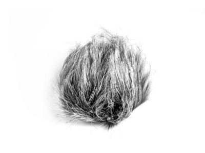 Zoom WSU-1 Universal Windscreen