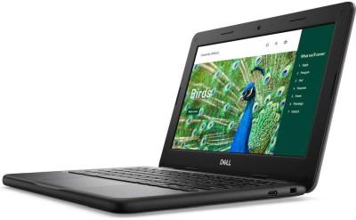 Dell Chromebook 3120, 11.6" HD TN matt, Intel N100, 4 GB, 64 GB eMMC, WiFi 6, Chrome OS, 1 års på-platsen-garanti