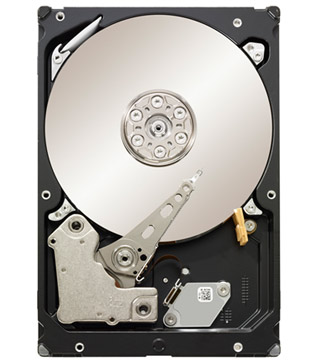 1 TB 3.5" Seagate Constellation ES 7200.1, 7200 rpm, 16 MB cache, SAS 2.0, 6 Gbit/s