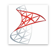 Microsoft SQL Server 2022 CAL Commercial Perpetual, 1 User