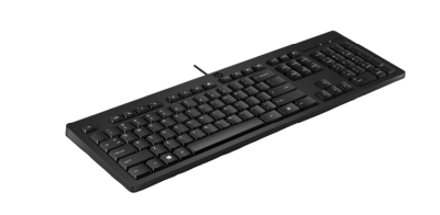 HP 125 G2 USB Wired Keyboard US-Euro med Copilot-knapp